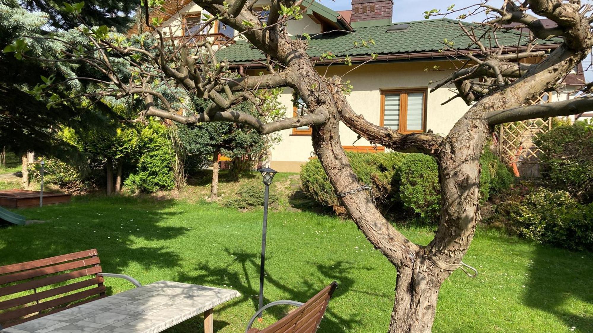 Apartamenty-Studio Noclegi Wczasy Wakacje Ferie - Pobyty Rodzinne Rabka Exterior photo